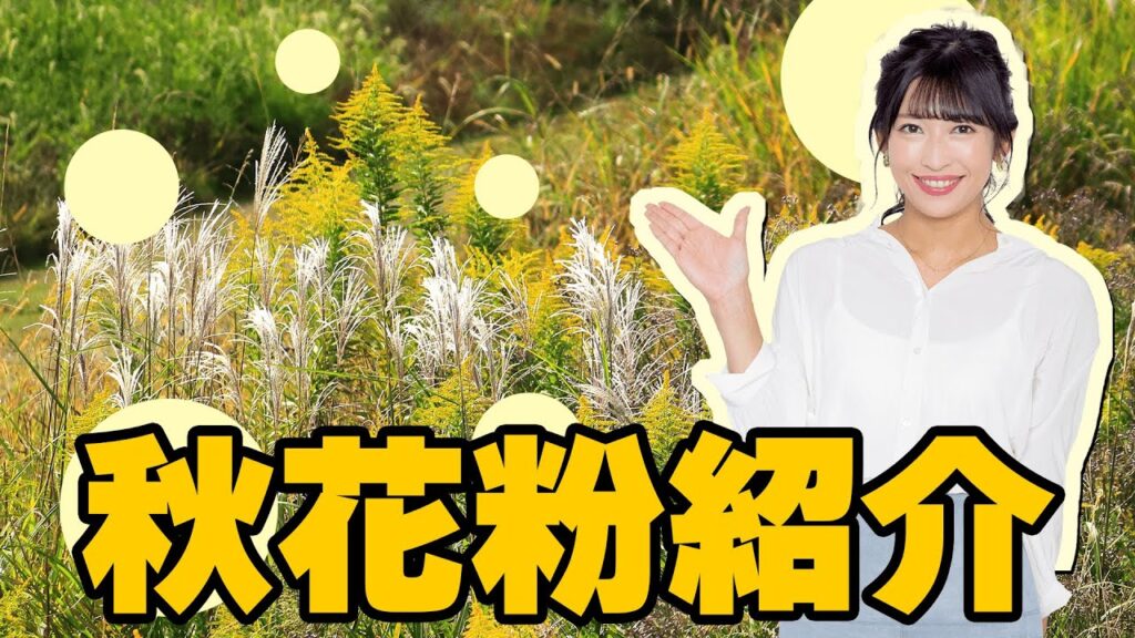 秋花粉紹介映像 秋花粉紹介映像