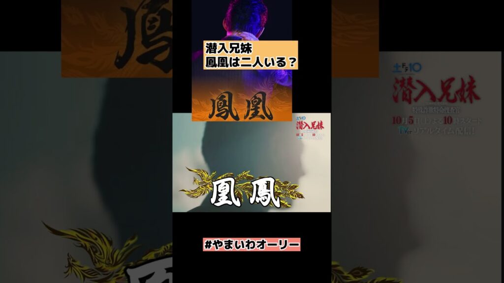 【潜入兄妹】鳳凰は二人いる説【特殊詐欺特命捜査官】 #shorts