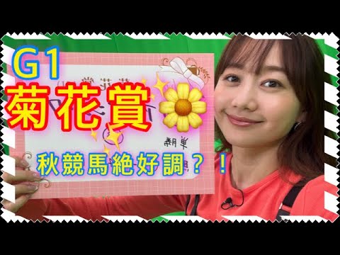 G1 菊花賞の予想をしました！| 高田秋のほろよい気分