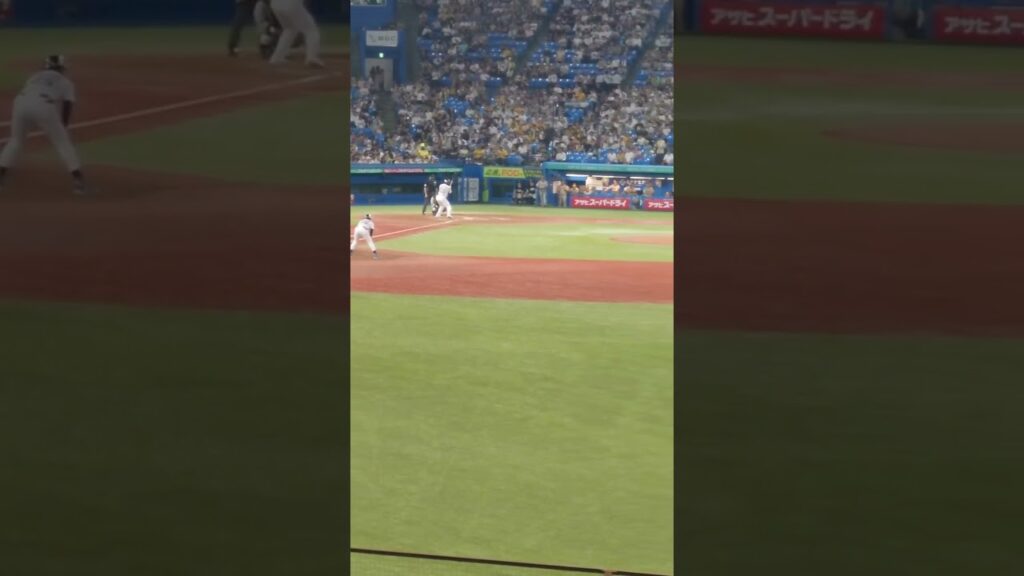 ２０２４年９月６日 村上宗隆🆚ビーズリー＠神宮球場　#東京ヤクルトスワローズ 　#阪神タイガース 　#セリーグ公式戦 　#プロ野球 #チャンネル登録高評価よろしくお願いします 　#燕征 　#東京