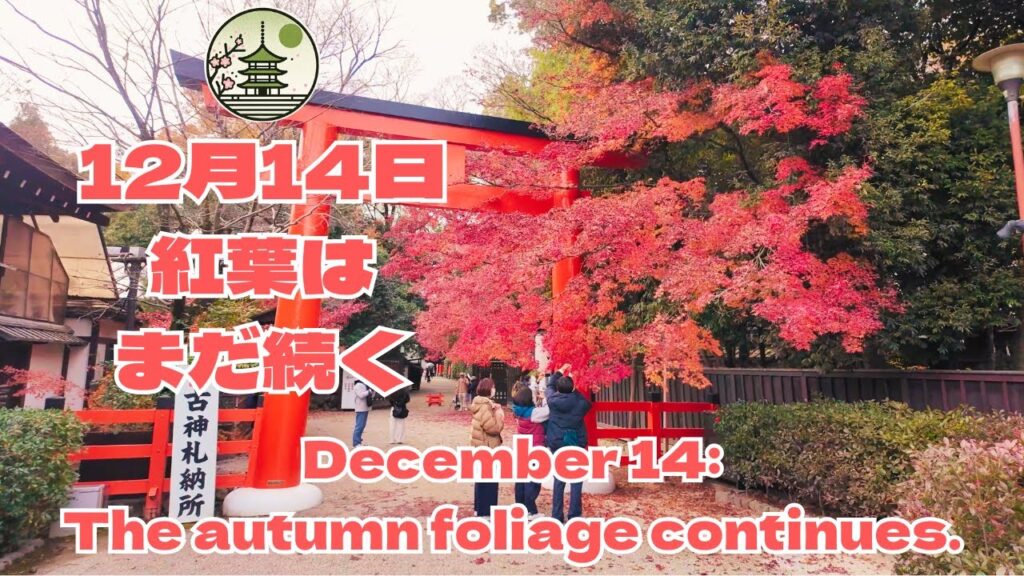 🍁【速報】12月14日(土)紅葉はまだ続く！！！