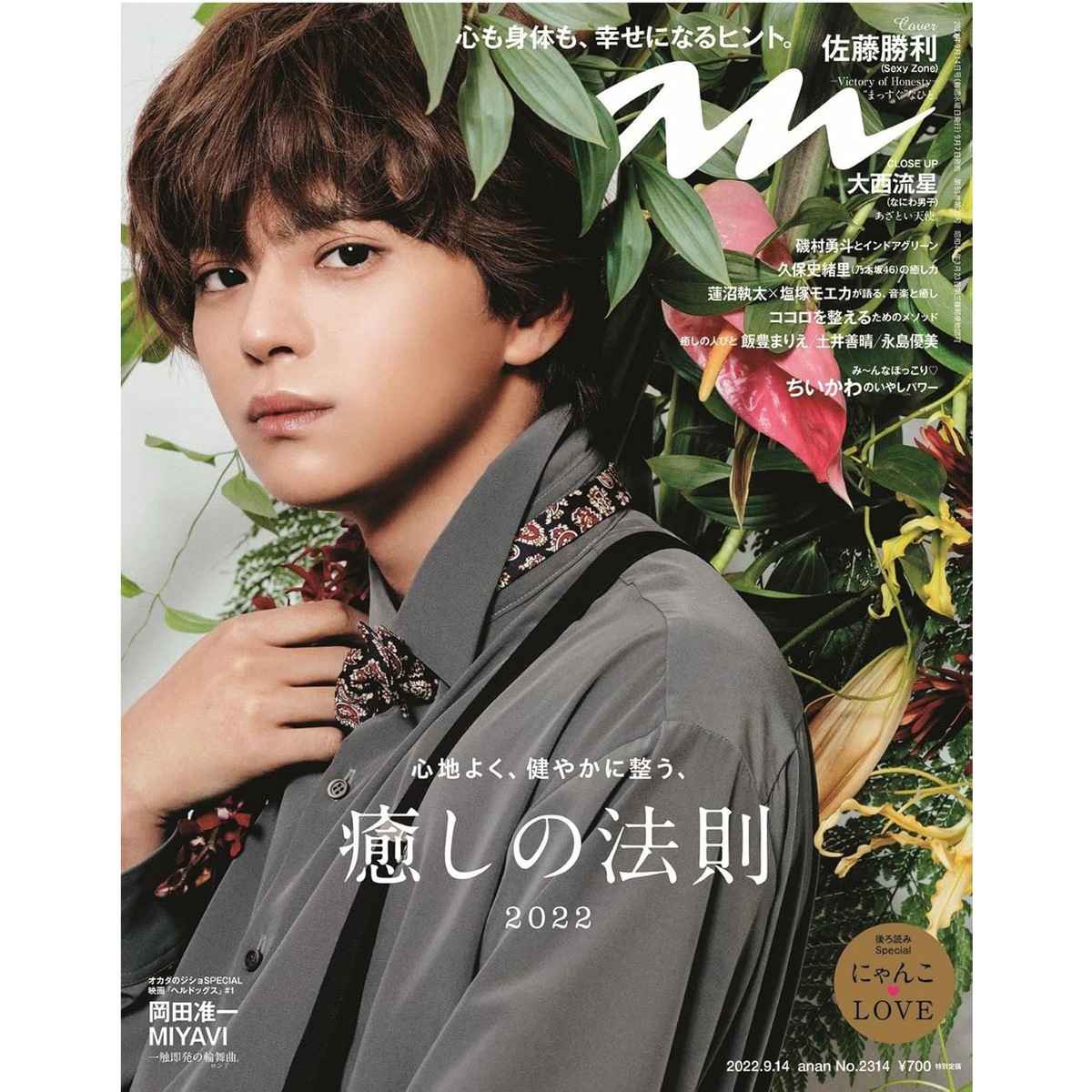 vivi-top20-now-1-timelesz-2024