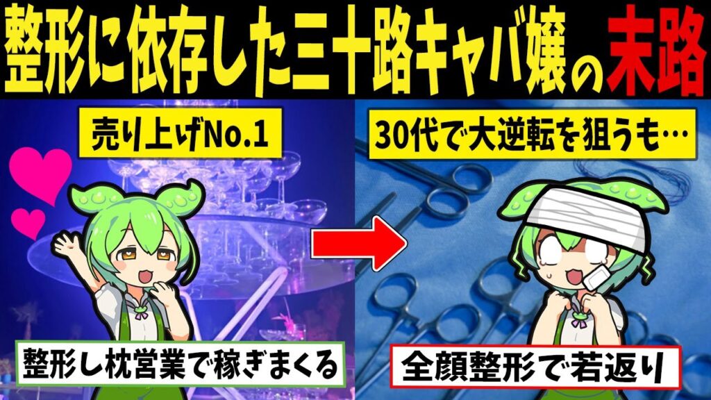 【整形・枕営業】三十路キャバ嬢が夜職を続けたずんだもんの末路【ずんだもん闇解説】