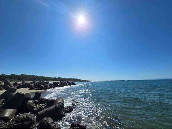 モアナと伝説の海2　方言 新潟弁