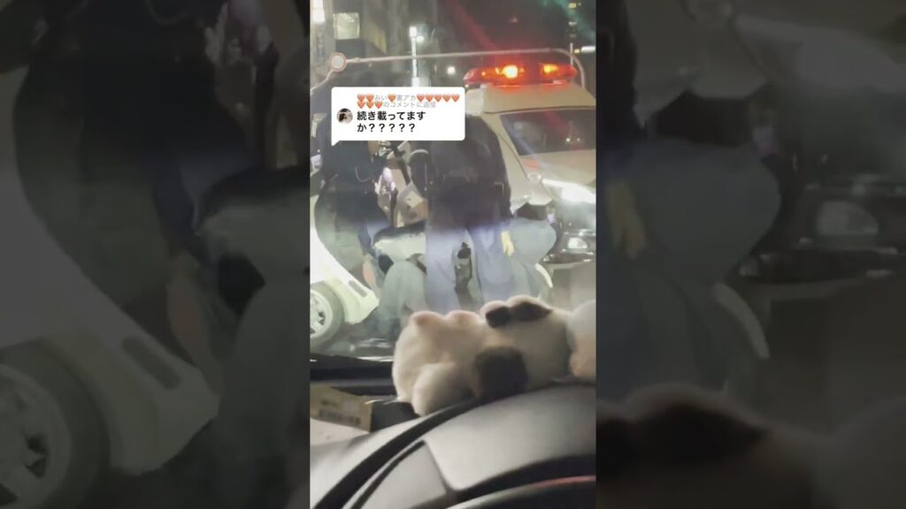 [何してんねん] (林田真尋) インスタで話題何してんねんって何 #Shorts