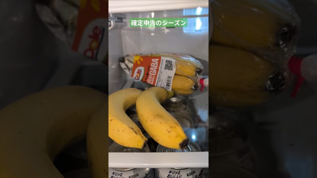 refrigerator アルプスの少女 麻丘めぐみ 2025年2月17日