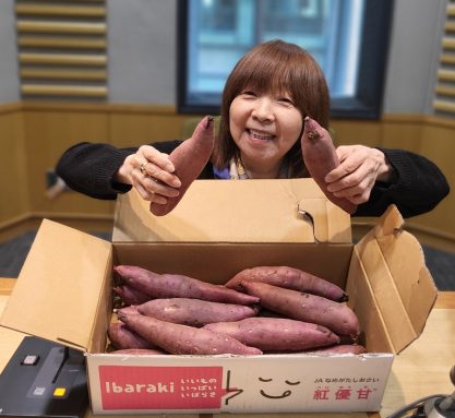 イルカのミュージックハーモニー