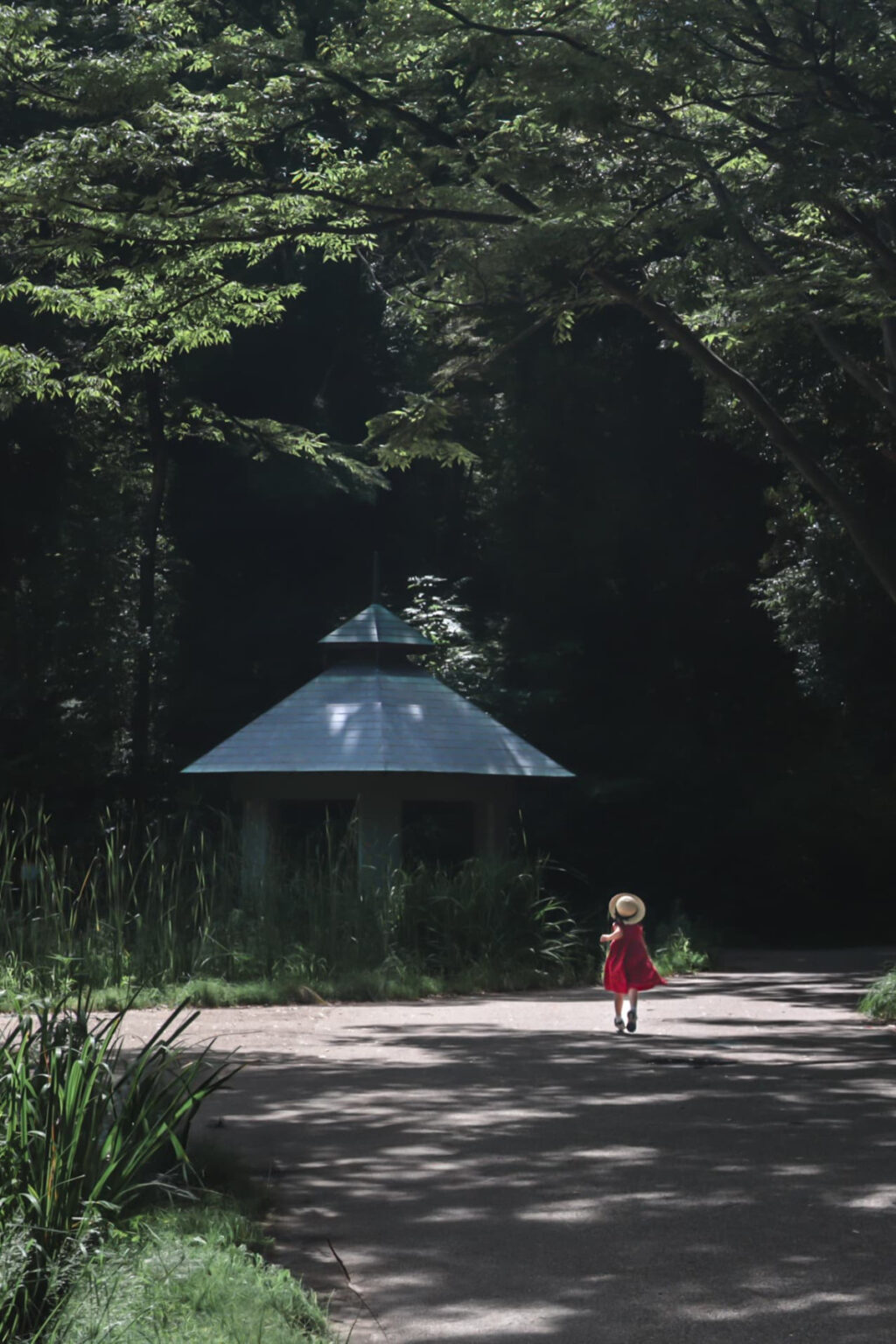 優秀賞は@r_k__photoさんの「せせらぎ公園東屋」を写した「森のあずまや」 - ヨコハマ経済新聞