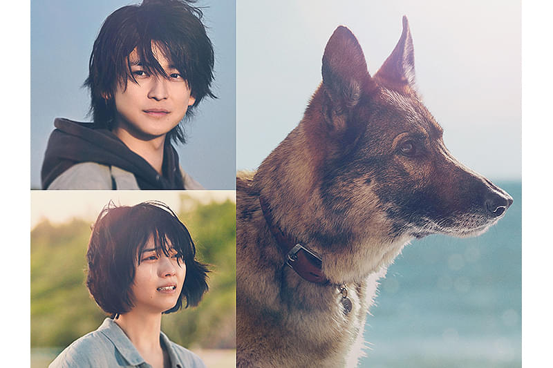 「支離滅裂が‼️❓てんこ盛り‼️❓」 少年と犬 アサシン5さんの映画レビュー（感想・評価） - 映画.com