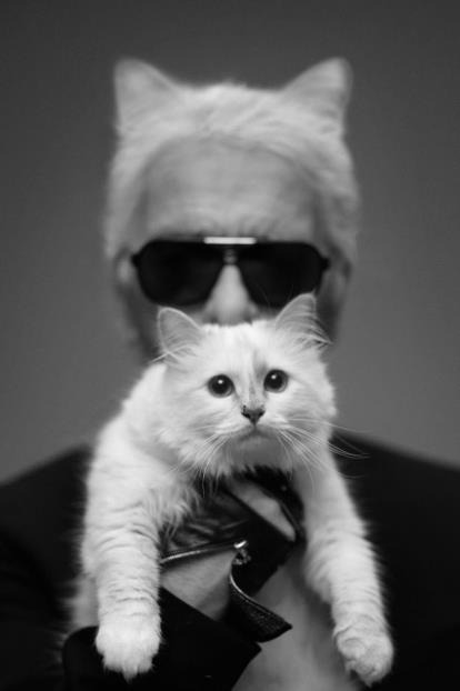 ファッション界の巨匠「KARL LAGERFELD(カール・ラガーフェルド)」 ウォッチコレクションがリブランディングして日本再上陸