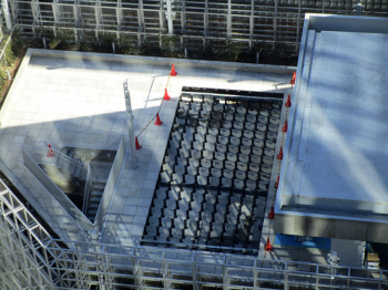 Tokyoginza25014