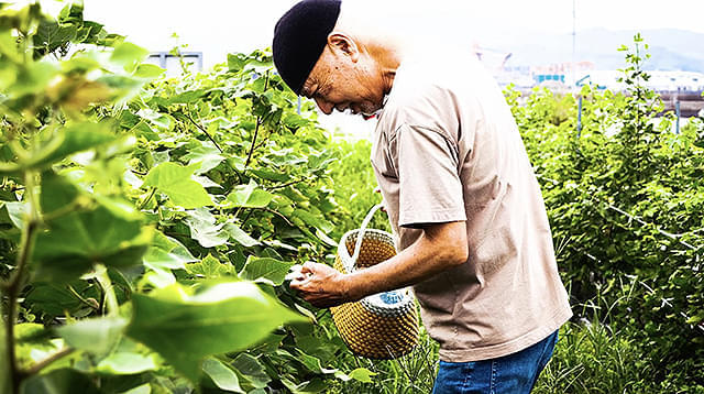 繊維産業の街として知られる愛知県三河・蒲郡市にスポットをあてたドキュメンタリー