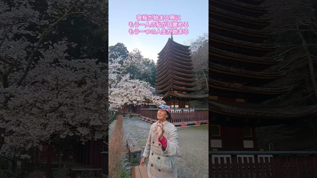 夜に目覚めるもう一人の私 もう一つの人生が始まる❗#昭和のドラマ #ドラマ主題歌 #時代劇 #正義の味方 #懐メロ #70年代歌謡曲 #昭和のポップス歌謡 #小川真由美 #田中邦衛 #ヒデとロザンナ