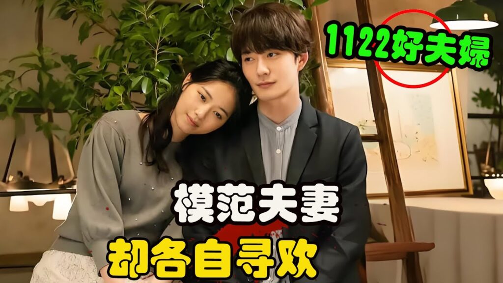 结婚多年的夫妻却因为妻子的冷漠，竟允许丈夫在外找情人，而自己也会去风俗店寻欢，一口气看完高分剧集 1122好夫妇 高畑充希#冈田将生# 西野七濑# 高良健吾