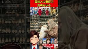 浜崎あゆみ⑦芸能人の豪邸！価格ランキングTOP7！驚愕の有名人の自宅ツアー！#石橋貴明 #中居正広 #デヴィ夫人 など #豪邸 #自宅 #家 #ルームツアー　#不動産 #文春砲 #週刊誌 #ゴシップ