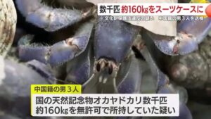 ニュース・スポーツ - ＫＴＳ鹿児島テレビ