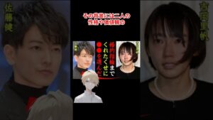 佐藤健と吉岡里帆、熱愛と価値観の衝突#ワイドショー #恋愛 #スキャンダル＃芸能ネタ＃芸能人