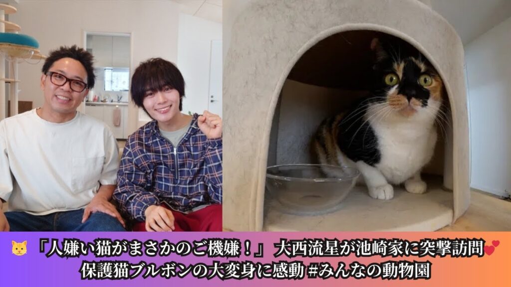 🏡 【嗚呼!!みんなの動物園SP】大西流星×保護猫ブルボン 人嫌い猫がジャニーズの魔力でご機嫌に！池崎家ロケの奇跡🐾