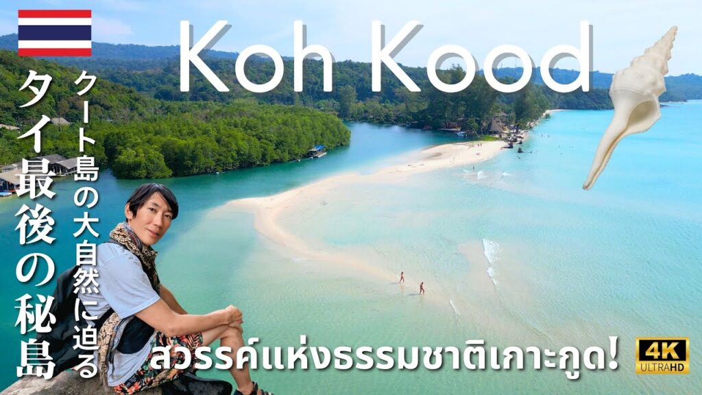 Koh Kood’s Hidden Wonder: Ancient Tree & Jungle Waterfalls (Thailand🇹🇭)[Ep.2]