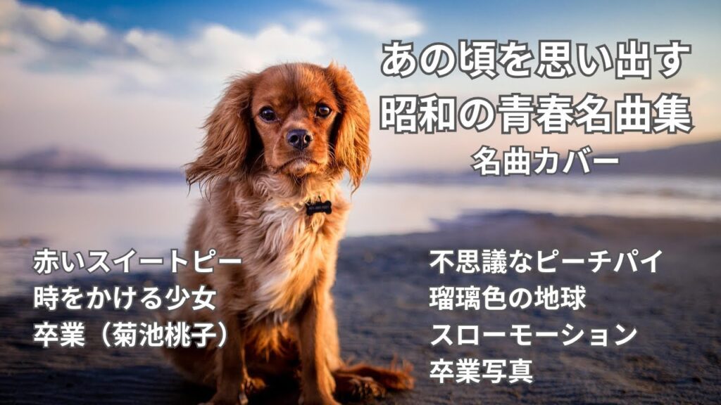 【あの頃を思い出す】昭和の青春名曲集/カバー