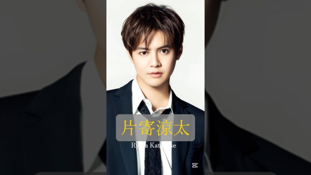 片寄涼太出演ドラマ、映画