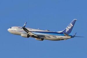 大阪府の上空から撮影された1枚に思わず二度見　大阪ベイエリアの夜景に驚きの声 | LIMO | くらしとお金の経済メディア