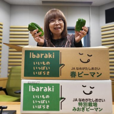 イルカのミュージックハーモニー