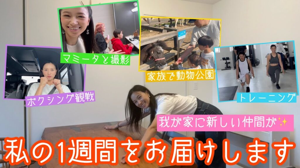 【1WEEK VLOG】新しい家具、ボクシング観戦、母子収録、家族時間、トレーニング 【1WEEK VLOG】新しい家具、ボクシング観戦、母子収録、家族時間、トレーニング