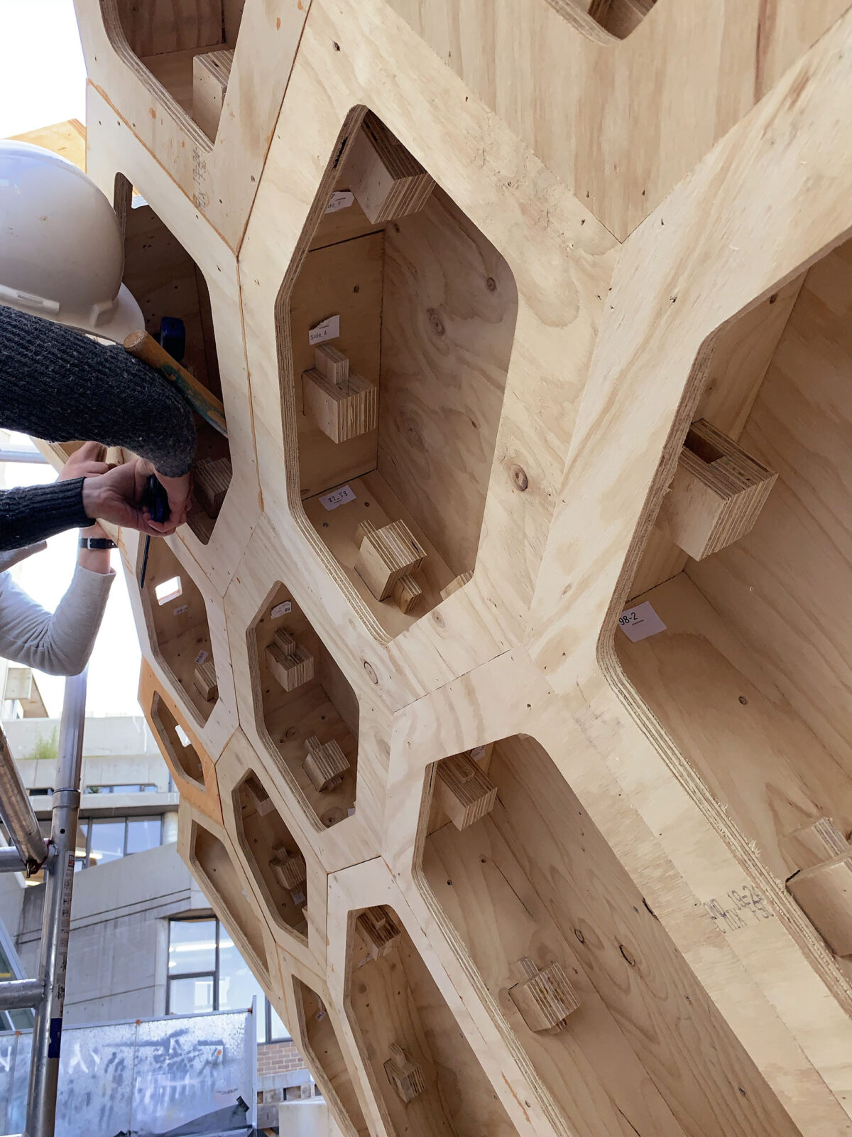 〈HexBox Canopy〉設計：DTC & Code-to-Production Team