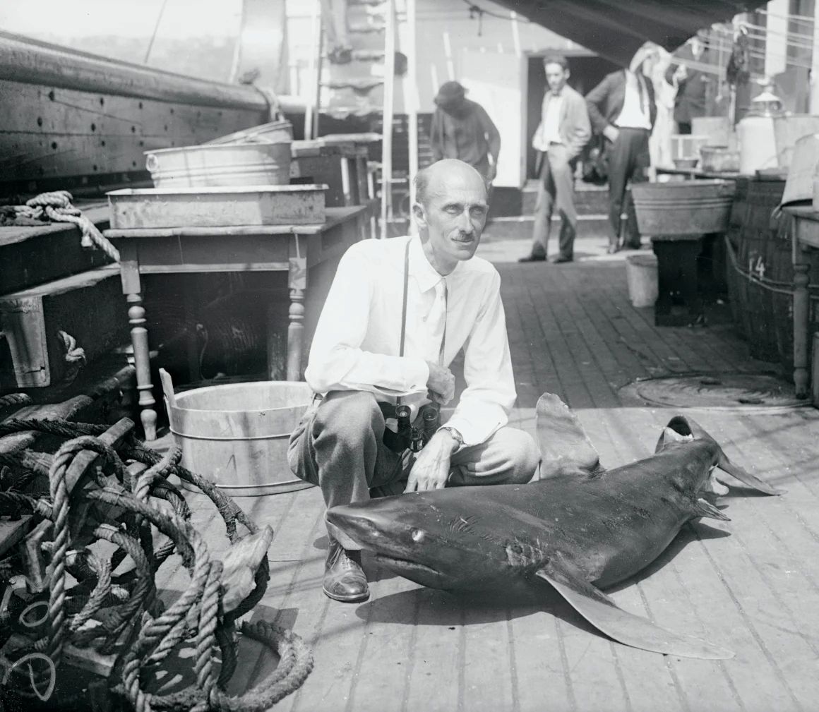 １９２５年７月、シロワニと共に写真に収まる博物学者のウィリアム・ビービ。６カ月間の調査旅行で収集した数千匹の魚の一匹だ/Bettmann Archive/Getty Images