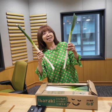 イルカのミュージックハーモニー