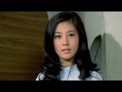 昭和の伝説・大原麗子の「奇跡の美貌」が2026年の今、再び世界を魅了する理由