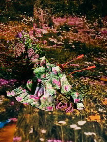 ヴィジュアル画像