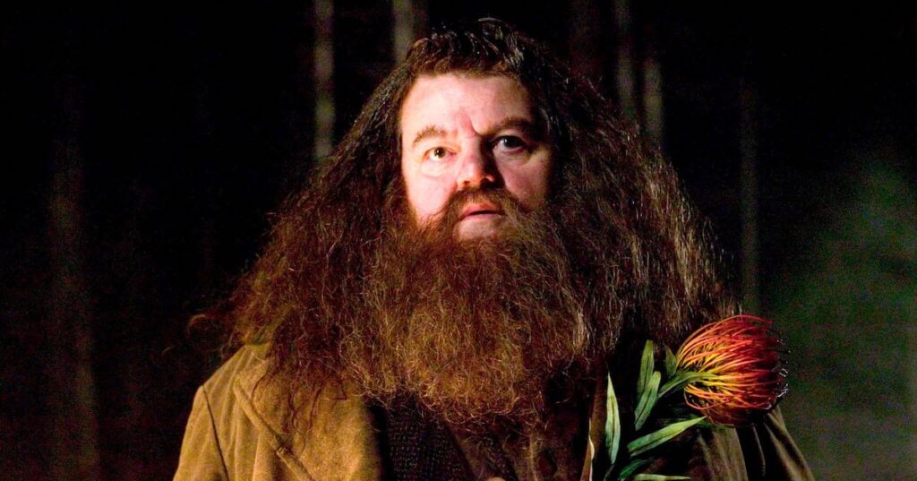 ハリー・ポッター