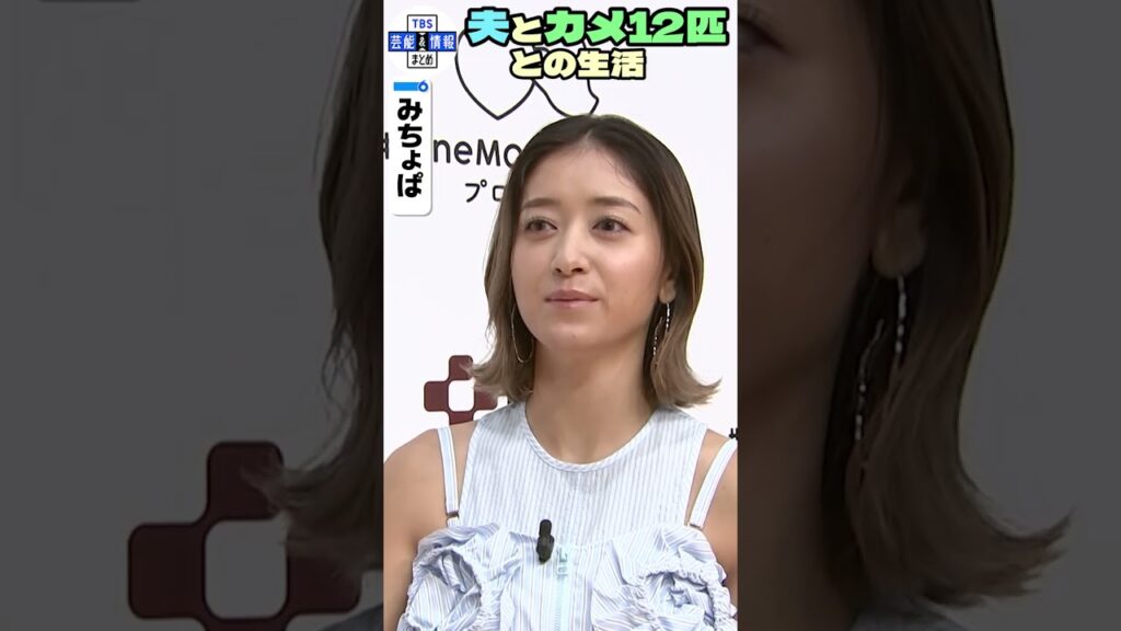 🟢独占【みちょぱ】夫・大倉士門のカメ🐢12匹との生活に ぶっちゃけ「愛着はまだない」 #shorts 🟢独占【みちょぱ】夫・大倉士門のカメ🐢12匹との生活に ぶっちゃけ「愛着はまだない」 #shorts