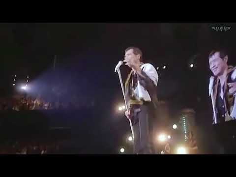 PURE GOLD-ピュア・ゴールド-　　矢沢永吉