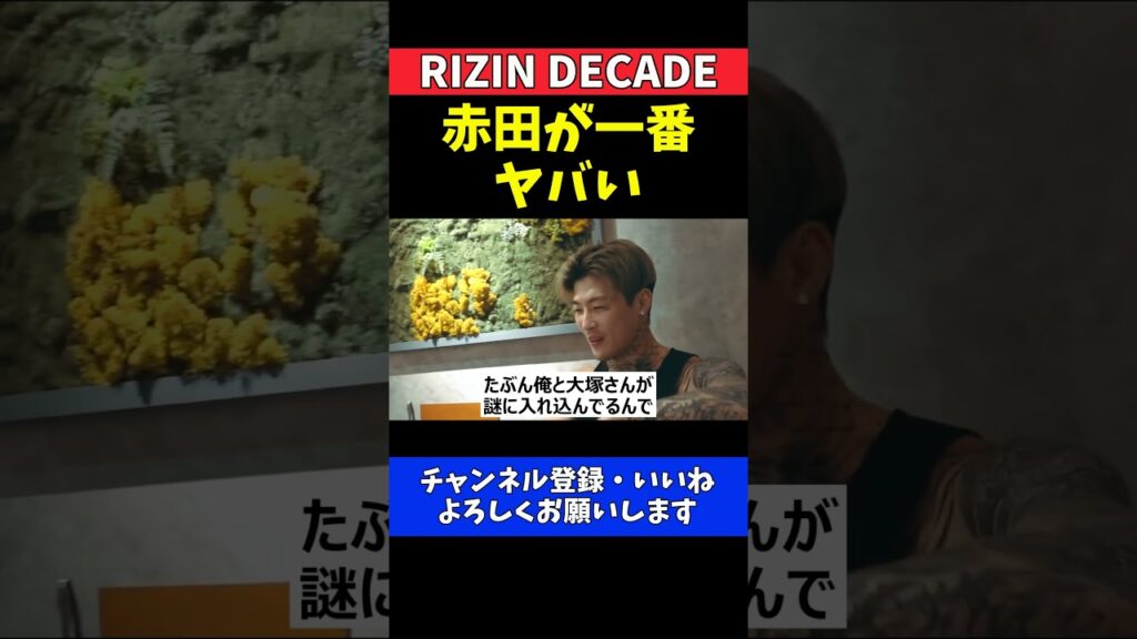 平本蓮  赤田プレイボイ功輝は人を怒らせる天才！いい奴ぶってて一番ヤバい存在【RIZIN DECADE】