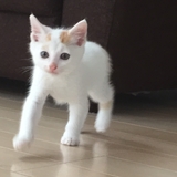 ゆうき
