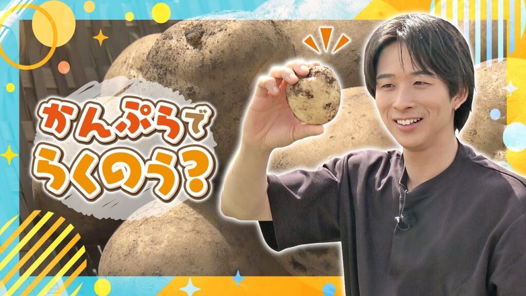 【澤夏が楽農を実践！】体の負担を減らすラクな姿勢でかんぷらを収穫