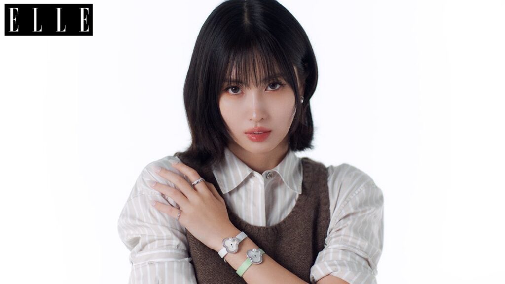 MOMOと「タサキ」パールの物語| ELLE Japan MOMOと「タサキ」パールの物語| ELLE Japan