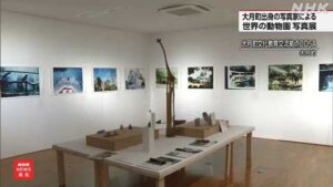 大月町出身の写真家 奥宮誠次さん撮影 世界の動物園の写真展｜NHK 高知県のニュース