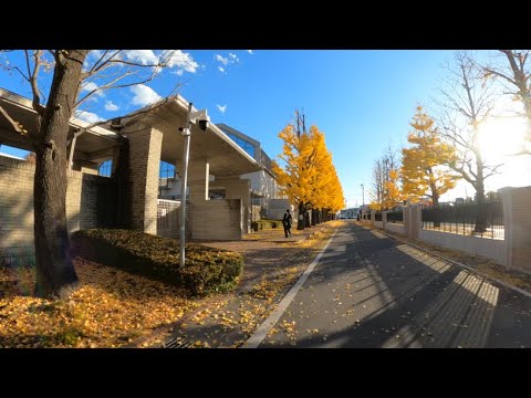 【神奈川】カリタス女子高等学校(川崎市多摩区)をバイクで廻るAround