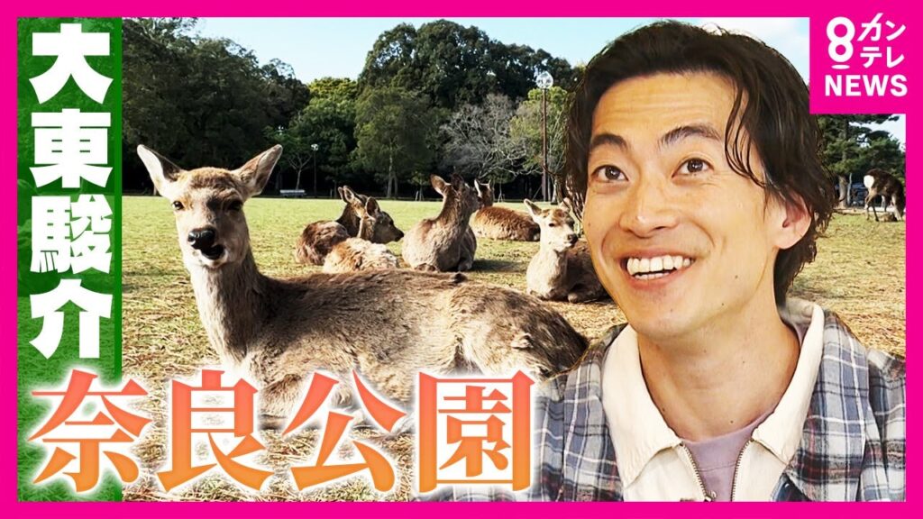 『春日大社』にある「3つ見つけると金持ちになる」2000基の中に15基だけ貴重な石灯籠 700年変わらぬ境内に一つだけ感動の変化|大東駿介の発見!てくてく学〈カンテレNEWS〉 『春日大社』にある「3つ見つけると金持ちになる」2000基の中に15基だけ貴重な石灯籠 700年変わらぬ境内に一つだけ感動の変化|大東駿介の発見!てくてく学〈カンテレNEWS〉