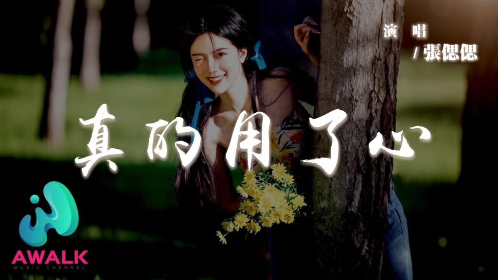 張偲偲 - 真的用了心『我是真的真的用了心，為你演出每一場戲。』【動態歌詞 | Pinyin Lyrics】【AWALK MUSIC】