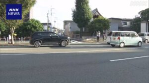熊本 神社の祭りに参加予定の馬が逃げ出し 車と接触 1人軽傷 - nhk.or.jp