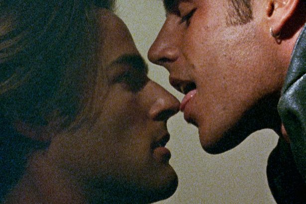 セルロイド・クローゼット　同性愛の視点の映画史