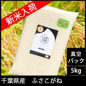 イルカのミュージックハーモニー