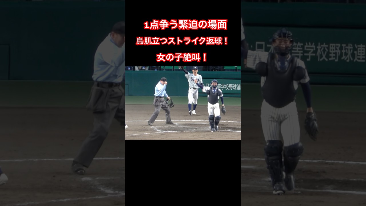 女の子絶叫! 1点を争う緊迫の場面 鳥肌立つストライク返球!選抜 高校 野球 健大高崎vs明徳義塾 #高校野球 #甲子園 #センバツ #野球 ...