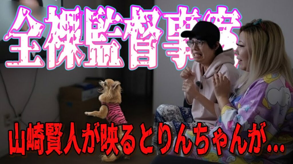 【山崎賢人を見ると様子がおかしくなるチワワのりんく・たくやの全裸監督.】5つのジャンルから選ぶ実話雑談【明るい部屋で怖い話のはずが】心霊/アングラ/超常現象/ヒトコワ/怒 【山崎賢人を見ると様子がおかしくなるチワワのりんく・たくやの全裸監督.】5つのジャンルから選ぶ実話雑談【明るい部屋で怖い話のはずが】心霊/アングラ/超常現象/ヒトコワ/怒