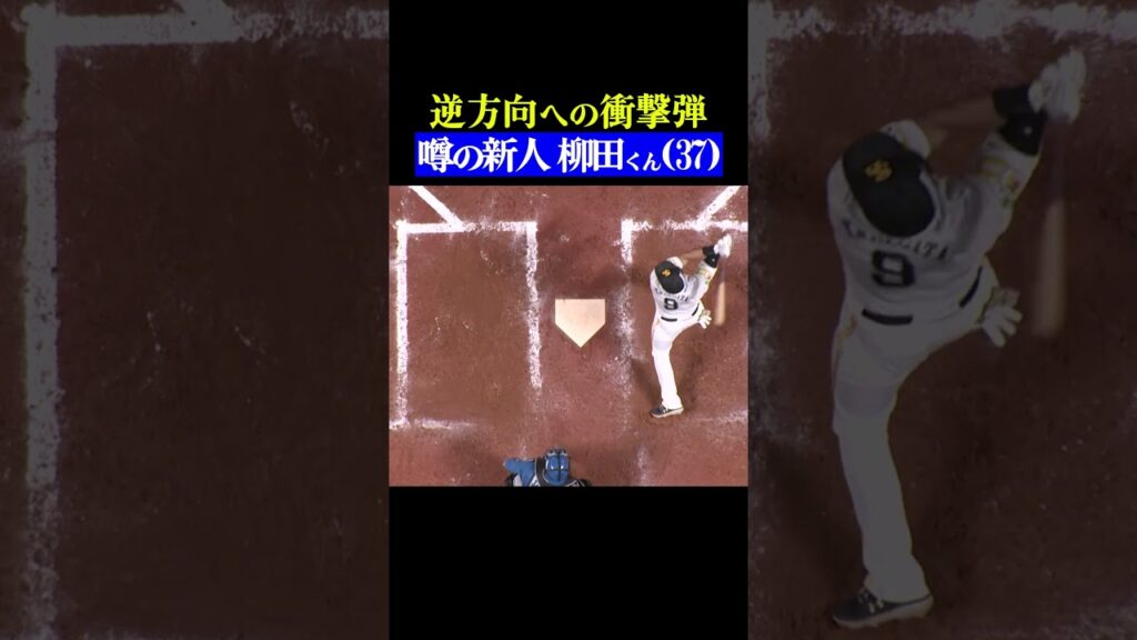 噂の超大型新人ギータ #shorts